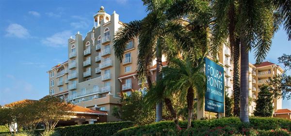 Four Points by Sheraton Tampa Airport Westshore