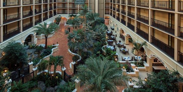 Four Points by Sheraton Tampa Airport Westshore