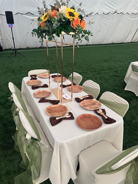 Hudson Event Complex