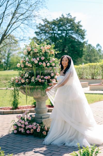 The Ivy on the Plains