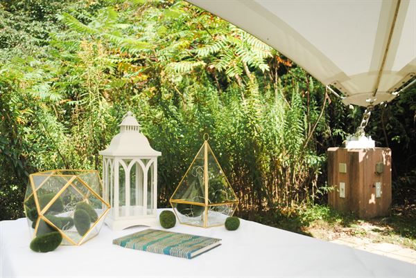 The Montshire Museum