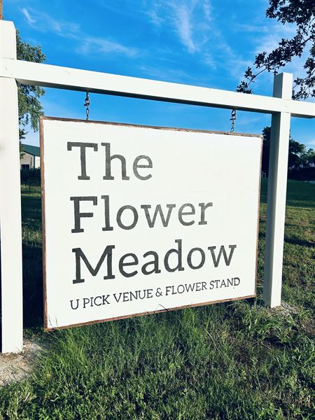The Flower Meadow