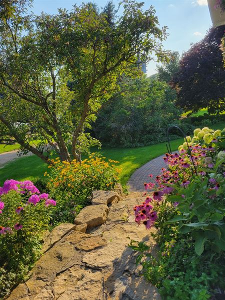 Settlement Hill Farm