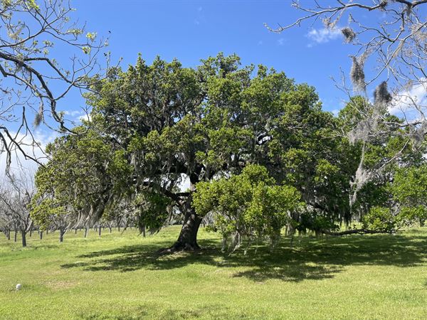 Fantastic Resort & Venue