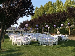 Garden with Fountains