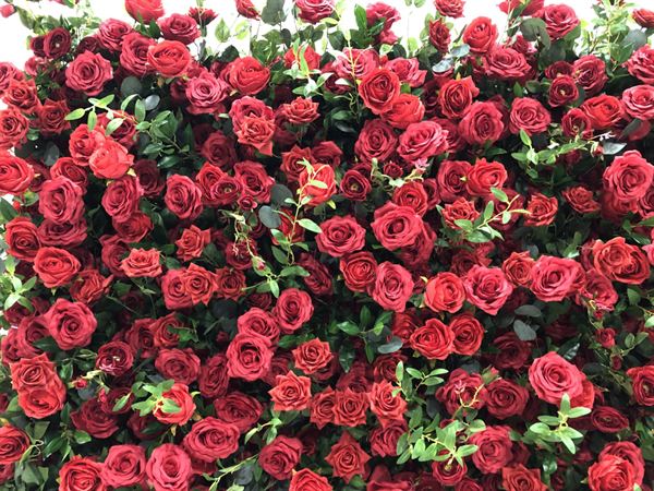 The Luxe Zone Flower Wall Rental