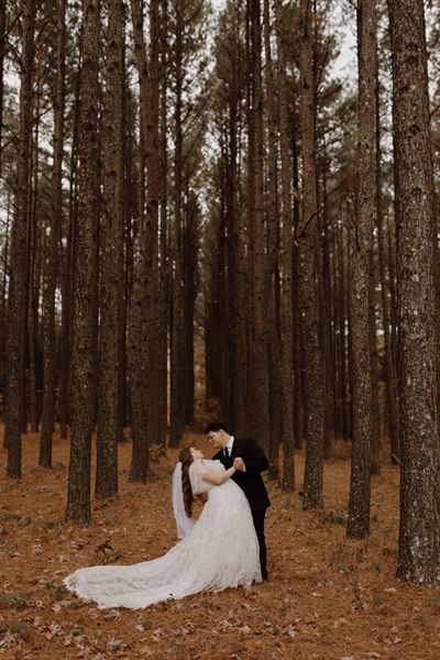 Dovetail Forest Retreat