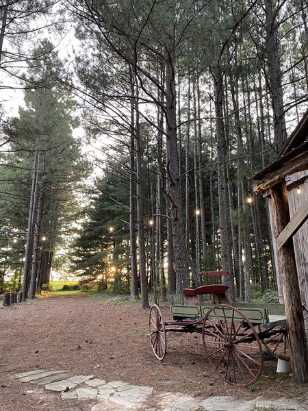 Dovetail Forest Retreat