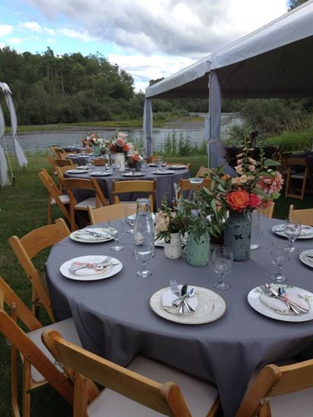 Northern Lights Christmas Tree Farm
