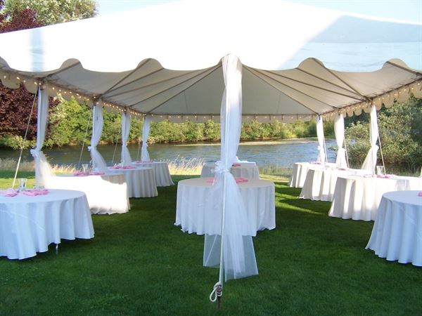 Northern Lights Christmas Tree Farm