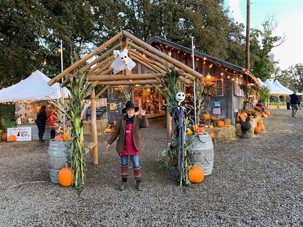 Northern Lights Christmas Tree Farm