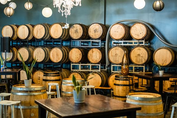 True Anomaly Brewing