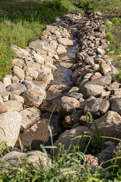 Supply Wagon Rentals