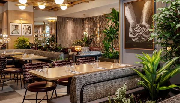 Earls Kitchen + Bar Yorkville