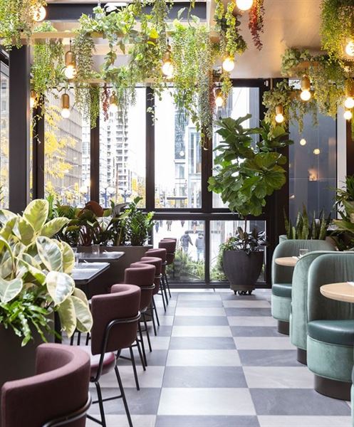 Earls Kitchen + Bar Yorkville