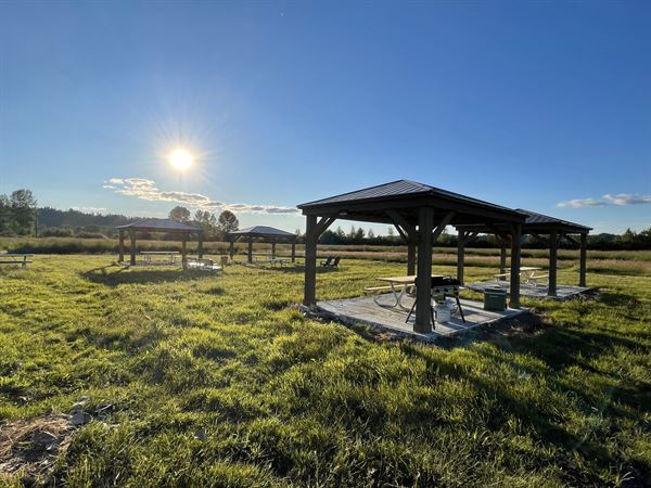 Henna Blueberry Farm
