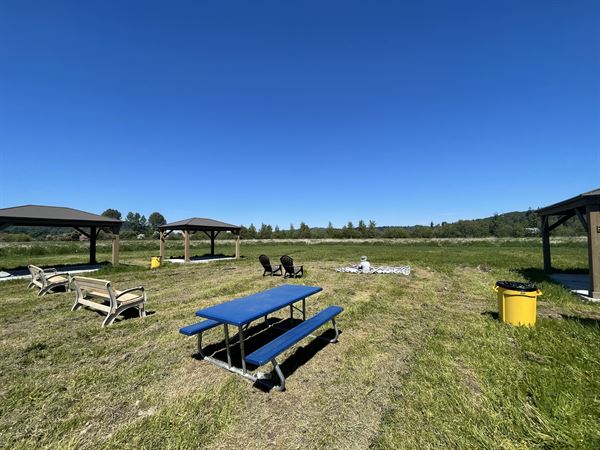 Henna Blueberry Farm