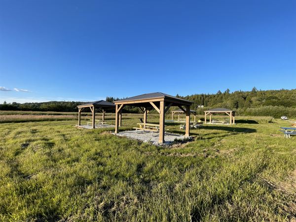Henna Blueberry Farm