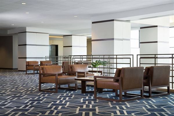 Downright Austin, A Renaissance Hotel