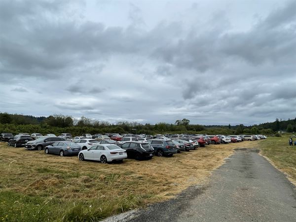Henna Blueberry Farm