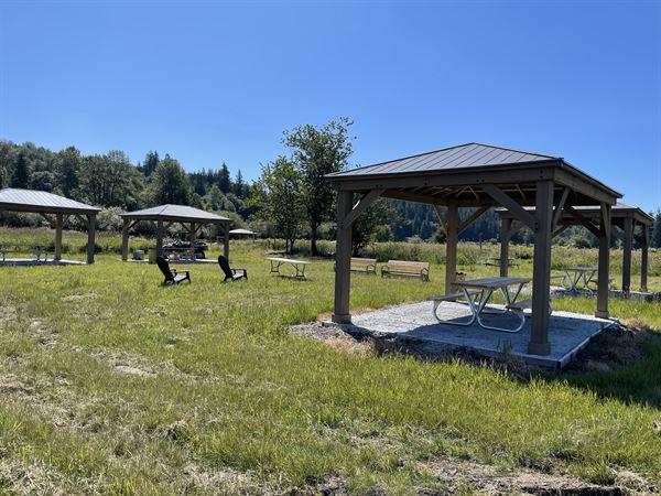 Henna Blueberry Farm