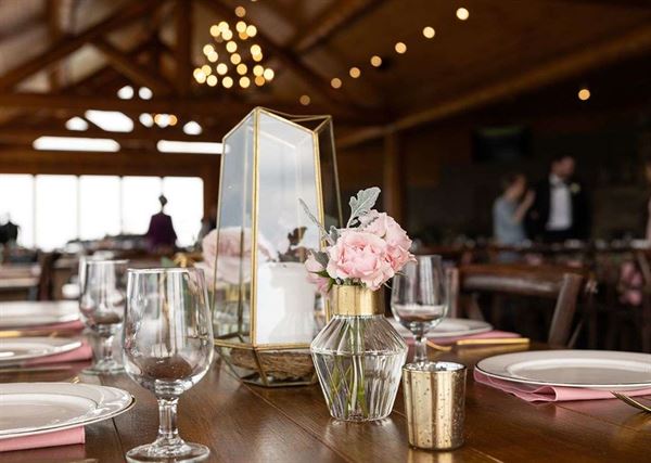 Point Lookout Vineyards