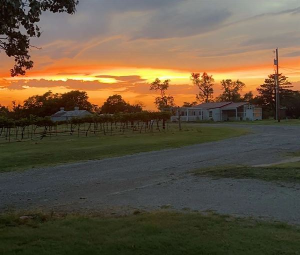 Twisted and Tangled Winery