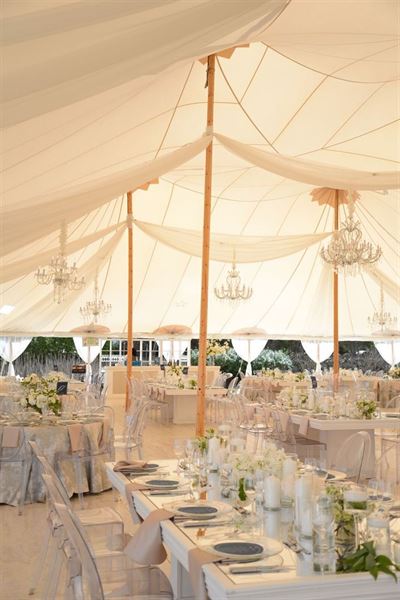 The Forest and Stream Club