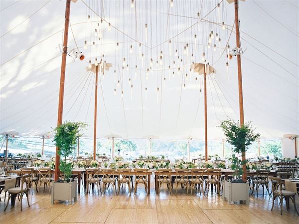 The Forest and Stream Club