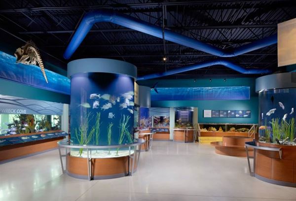 COX Science Center and Aquarium