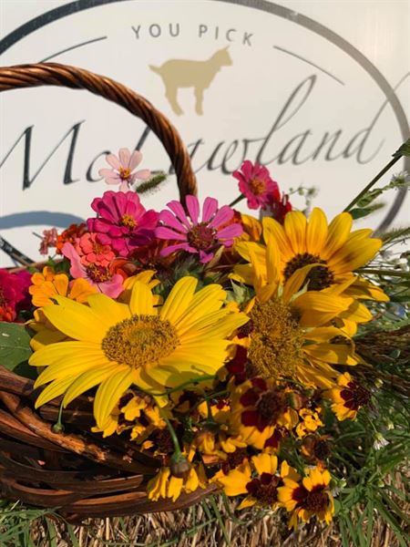 McLawland Farms, LLC