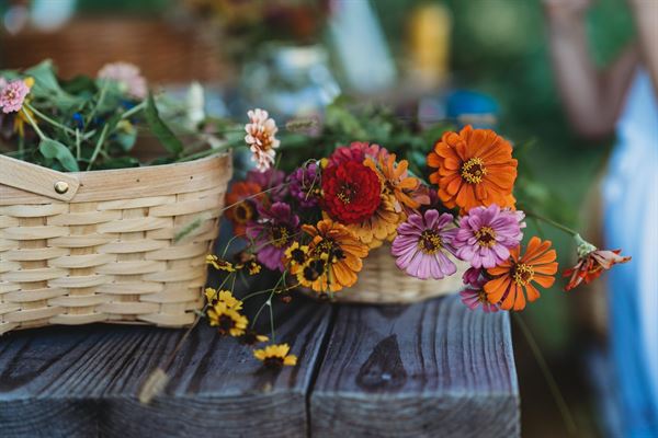 McLawland Farms, LLC