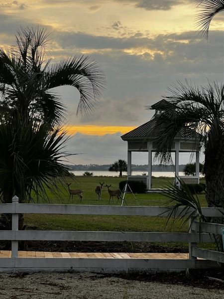 Melrose Oyster House & Beach Club