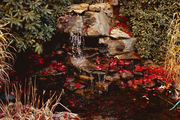 Holiday Inn- East Mountain