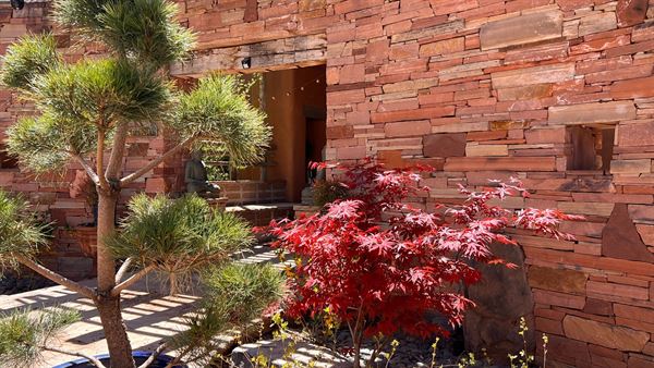 The Southwest Sanctuary