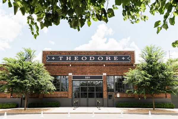 The Theodore