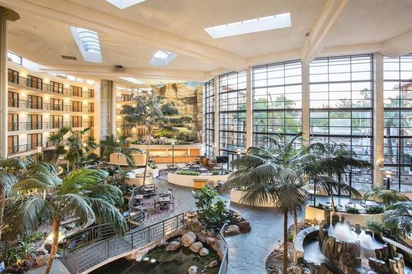 Embassy Suites by Hilton Phoenix-Biltmore
