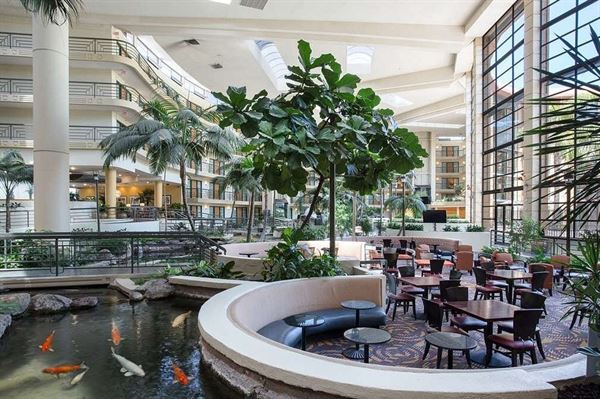 Embassy Suites by Hilton Phoenix-Biltmore