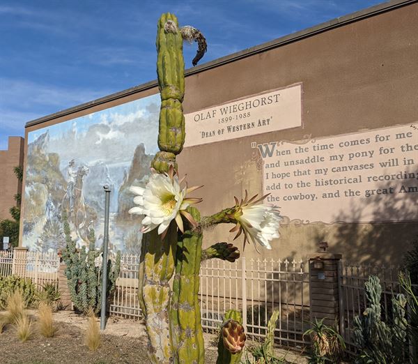 Olaf Wieghorst Museum and Western Heritage Center