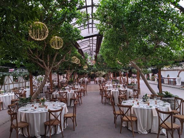 The Madison Greenhouse