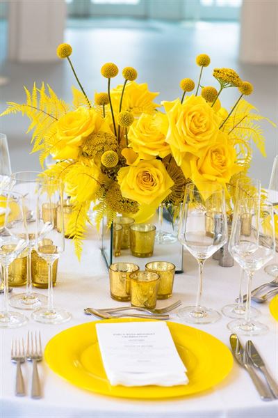 The Norwalk Art Space