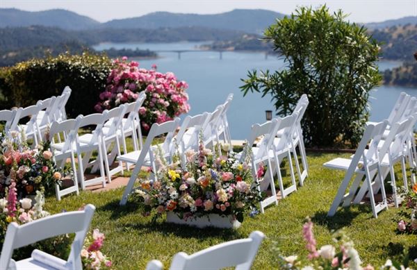 Airola Road Vineyards