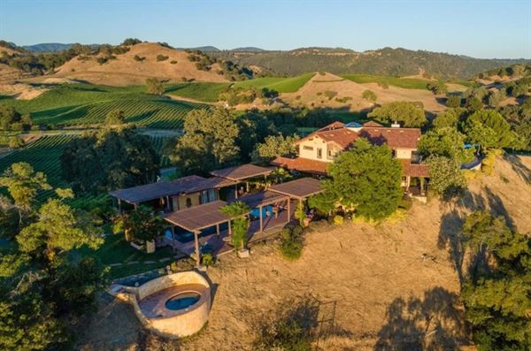 Airola Road Vineyards