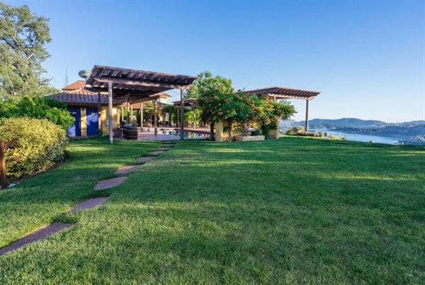 Airola Road Vineyards