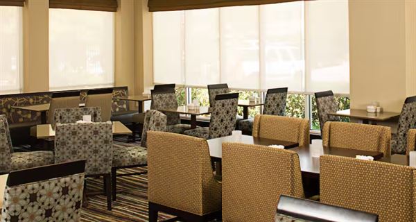 Hilton Garden Inn DFW Airport South