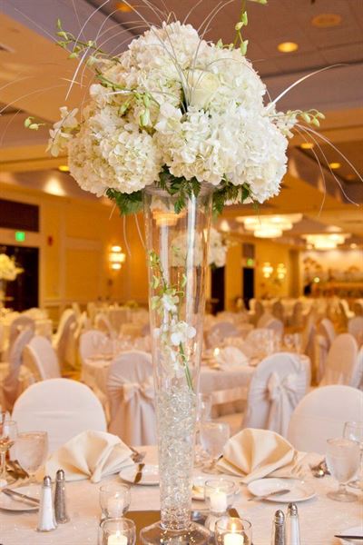 Stamford Marriott Hotel & Spa