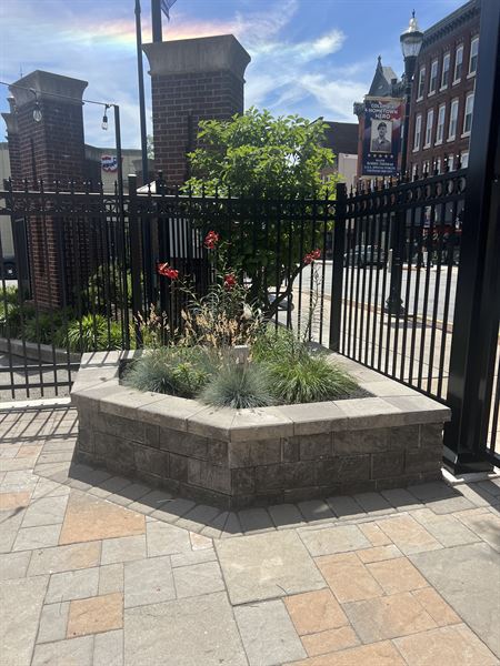 Homegoodies & Coffee