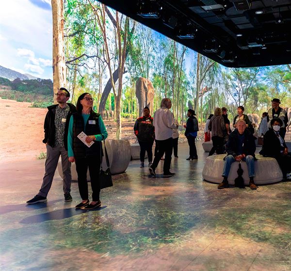 Illuminarium Chicago