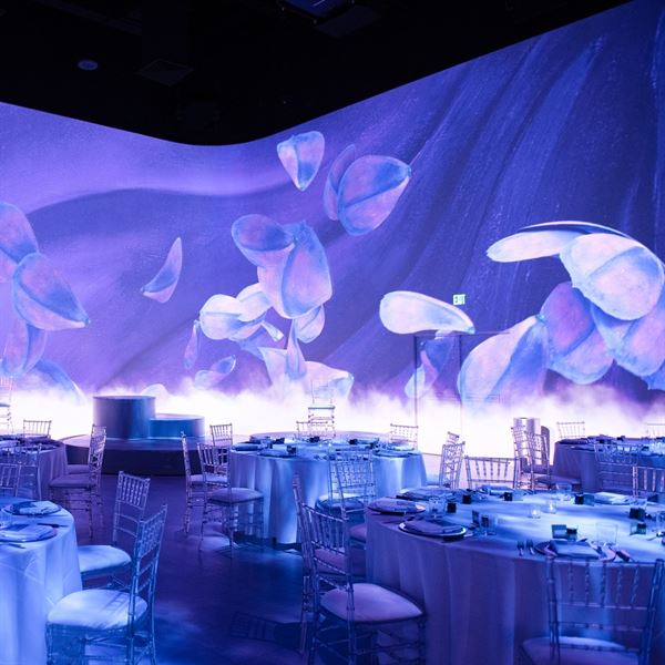 Illuminarium Atlanta