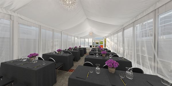 Dr. Wilkinson's Backyard Resort & Mineral  Springs